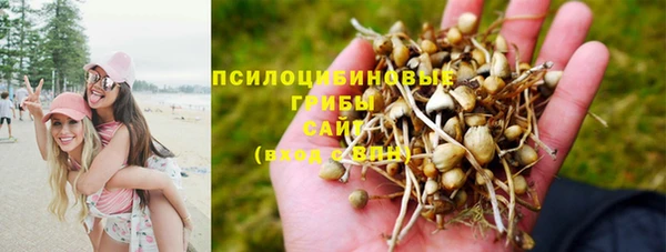 круглые Алексеевка