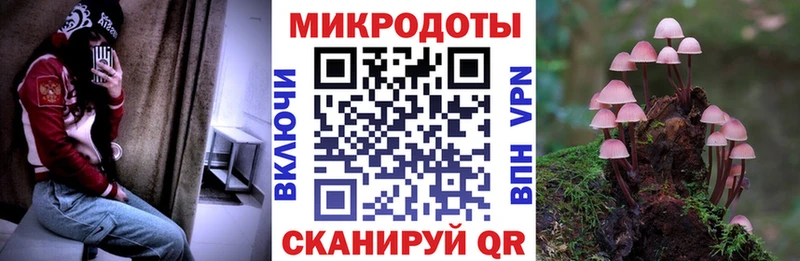 мега Бежецк Псилоцибиновые грибы мицелий купить закладку